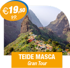 teide masca bus offer
